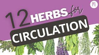 12  BEST Herbs that Improve Blood Flow | Prime Women