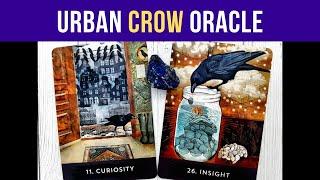 Urban Crow Oracle