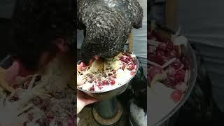 Приколы))) Без курицы никак не обойтись!    #animals #прикол #смешноевидео #prikol