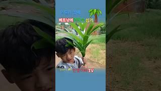 「짤8부작 」아들과 함께 베트남에 야자수 심기 no.1