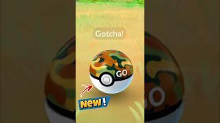 1st time Using SAFARI BALL in Pokemon GO.