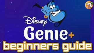 Disney Genie Plus Explained a Complete Beginners Guide to Genie+