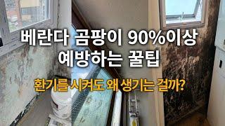 베란다 곰팡이 90%이상 예방하는 꿀팁 (안보면 후회)