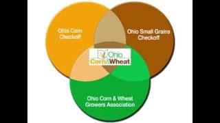 How Ohio Corn & Wheat is Organized