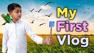 My First Vlog ️️ || My First Vlog Viral || My First Blog