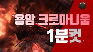 [토벌전] 용암 크로마니움 1분 핵심 공략 정리