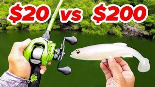 $20 vs $200 Swimbait Budget Fishing Challenge!