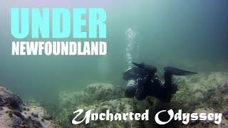 Under Newfoundland | Scuba Diving NL, Canada