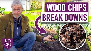 Unlocking the Potential of Wood Chips: 5 Creative Ways to Put Them to Use