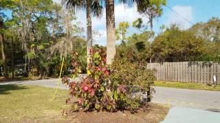 1114 38TH ST, SARASOTA, 941-366-0000