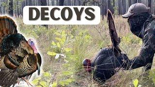 Decoy use in turkey hunting | Ep 127