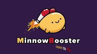 2018 Minnowbooster Explained