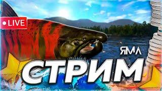 ️ РЫБОВОЗ  ЗАРАБОТАТЬ СЕРЕБРА И ПОЙМАТЬ ТРОФЕЙ  Розыгрыши & Рулетка  СТРИМ Русская Рыбалка РР4
