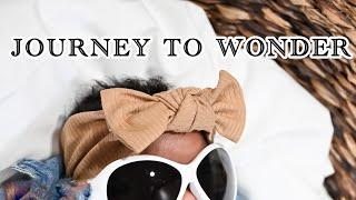 Journey to WONDER. (First trimester)
