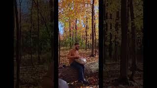 Beautiful colors out here in Montreal (Quebec, Canada) !   Handpan music 