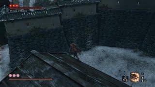 Sekiro: Thank you devs for the exploit!