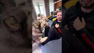 ФОКУС С БАБОЧКОЙ 