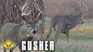 GUSHER | 8.5yr Old Buck at 20 yards (Graphic Warning)