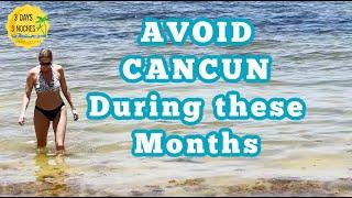 Avoid Cancun During these Months | Cancun Mexico | Cancun Beaches