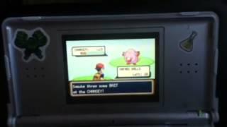 This is why chansey is a bitch.