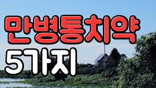 몸을 스스로 치유한 사람들의 만병통치약 5가지 | 자연치유 불변의 법칙