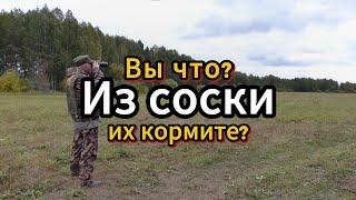 Вы что из соски их кормите