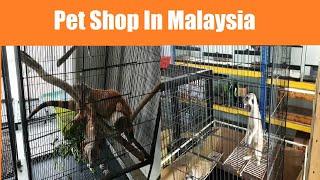 Pet Shop In Malaysia | Honey and Ibrahim went to Pet Shop and Enjoyed alot