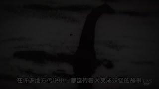 【UMA系列】引起美国民众恐慌的泽西恶魔究竟是什么？