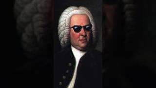 Bach tuvo 20 HIJOS Back to Back… bueno Bach to Bach #podcast #bach #johansebastianbach