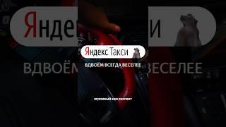 “Новый тариф в Яндекс.Такси — «Обезьяна»! Вся съемка — дело монтажа и фантазии. 