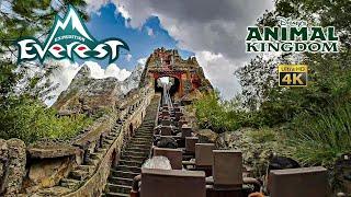 Expedition Everest Roller Coaster On Ride Low Light 4K POV Disney's Animal Kingdom 2024 09 20