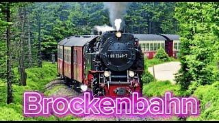 Brockenbahn von Wernigerode auf den Brocken, eine Brockenbahn Entdeckungsreise durch den Harz