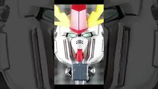 HG 1/144 RX-105 Ξ Gundoom (Bootleg Xi Gundam Build)