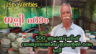 Guppy Farm Alappuzha|guppy farm in kerala malayalam|kerala guppy valarthal|greentel worm culture