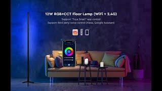 12W RGB+CCT Floor Lamp (WiFi + 2.4G) WL-FL5B