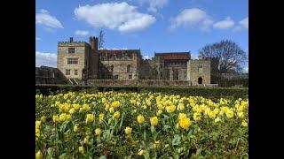 Tony Wiseman, Head Gardener at Penshurst Place, answers your garden questions!