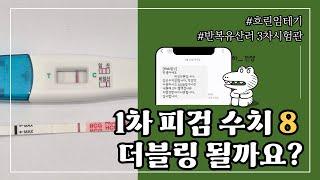 [시험관 VLOG] 낮은피검 더블링ㅣ2차·3차피검결과ㅣ희망편