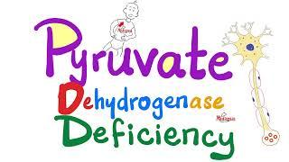 Pyruvate Dehydrogenase (PDH) Complex Deficiency - Biochemistry