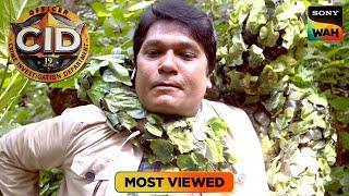 Bush में छिपकर Criminal ने किया Abhijeet पर जानलेवा Attack | CID | सी.आई.डी. | Most Viewed