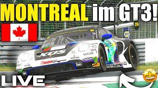 Zurück von der EXPO! | Rein in den iRacing GRIND! | GT3 Montreal Dry & Wet | Noah Eder LIVE