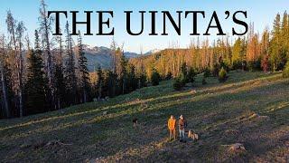 An Overnight Adventure To The Uinta's