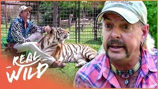 Joe Exotic: The Story Of The Tiger King | Predator Pets | Real Wild