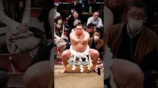 스모 선수의 놀라운 악력