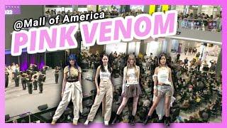 Blackpink _Pink Venom Dance Cover at Mall of America