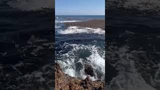 #FishingGoals: The Breathtaking Cliffs of Palos Verdes Revealed