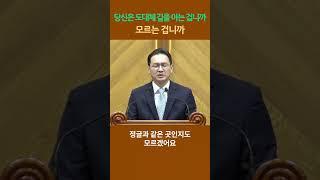 (7) 참된 길을 찾고 있다면, 예수만 믿고 따라가십시오