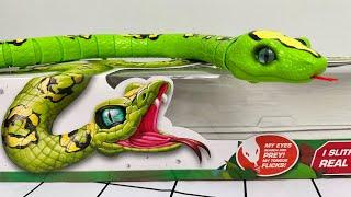 Zuru Robo Alive King Python Toys Unboxing & Review