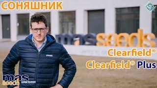 Соняшник Clearfield® і Clearfield® Plus - рекомендації французького експерта / СуперАгроном