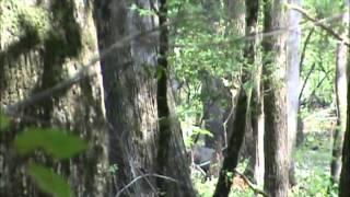 Jake Andrews Hunting Memories