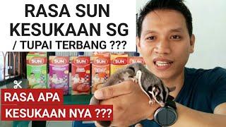 Makanan Sugar Glider || Rasa sun yang disukai / Favorit Sugar Glider atau Tupai terbang